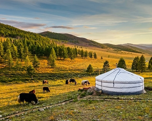 Picture for category Mongolia